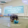 Szelki dla psa Coachi Podgląd zdjęcia produktu 2