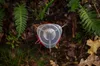 Primus Essential Trail Kit 1.0 L Gaskocher Set - Grau Produktbild-Vorschau 14