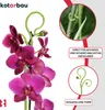 KOTARBAU® Sada 6 podpěr pro rostliny zelená PVC 58 cm Náhled obrázku produktu 4