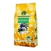 Eden Garden Trávna zmes Univerzál (1 kg na 50 m²) Náhľad obrázku produktu 1