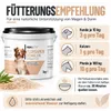 REAVET Flohsamenschalen für Pferd & Hund 1kg – Naturrein in Produktbild-Vorschau 6