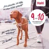 Postroj pro psy Company of Animals FOREST green 12 Náhled obrázku produktu 5