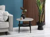 A round coffee table with a book and vase on it, next to a sofa and a large plant. Produktbild-Vorschau