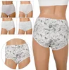 confezione da 5 slip da donna con motivo, 100% cotone XL Anteprima dell’immagine prodotto 2