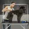 JOIEYOU Table de toilettage pour chiens et chats Table de Voir les images du produit 3