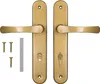 A set of door handles and screws on a white background. Anteprima dell’immagine prodotto