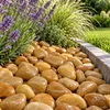 80 kg de piedras de río pulidas, grava para jardín, piedras Vista previa de la imagen del producto 4