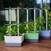 Gusta Garden CHARLY CHILI 3er-Set dunkelgrün Produktbild-Vorschau 11