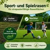 Premium Rasensamen  Sport&Spiel 2,5kg = 100m² Produktbild-Vorschau 2