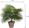 Mica Decorations Palmen Kunstpflanze im Blumentopf Stan - Produktbild-Vorschau 5
