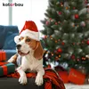 A beagle wearing a Santa hat sits next to Christmas presents and a decorated Christmas tree. Produktbild-Vorschau