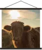 MuchoWow® Textilposter Schottisches Hochlandrind - Produktbild-Vorschau 1