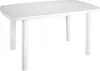 A white oval plastic table with four legs, shown from a front-side angle against a white background. Anteprima dell’immagine prodotto
