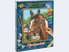 Noris Spiele Malen nach Zahlen - Pferdeportrait; 609240381 Produktbild-Vorschau 8