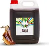 Rainbow Slush Sirup 5L AZO FREI | Cola | Konzentrat für Produktbild-Vorschau 1
