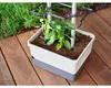 Gusta Garden CHARLY CHILY Standard samozavlažovací truhlík, Náhled obrázku produktu 21