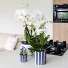Kolibri Home | Gemaltes Streifchen Produktbild-Vorschau 5