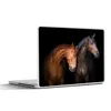 MuchoWow® Laptop Aufkleber Sticker Cover Pferde - Tiere - Produktbild-Vorschau 1