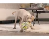 Beeztees Welpe Izzy Schnüffelball - Hundespielzeug - Produktbild-Vorschau 4