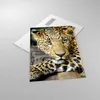 Bilder auf glas - Einteilig - Tiere gefährlich wilde katze Produktbild-Vorschau 2