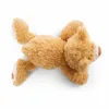 NICI Orso di peluche Mielo 20cm sdraiato, VERDE Anteprima dell’immagine prodotto 4