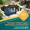 INOX® Teichklar 5 Liter Teichpflege & Brunnenreiniger - Produktbild-Vorschau 4