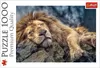 TREFL Puzzle Lion endormi 1000 pièces Voir les images du produit 3