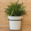 A white pot with a green plant is mounted on a wooden wall. Náhľad obrázku produktu