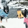 Hurtta Expedition Parka Wintermantel orange 45 Produktbild-Vorschau 5