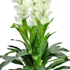 Levkoje Matthiola umelá rastlina umelá rastlina 100 cm Náhľad obrázku produktu 5