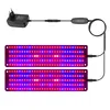 A black power adapter and a controller are connected to two LED grow light bars, which are illuminated with red and blue lights. Anteprima dell’immagine prodotto