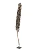 EUROPALMS Cacho Coco, hoogte ongeveer 120-190 cm Productafbeelding-voorbeeld 1