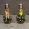 2er Set Sukkulenten Glühbirne Im Glas B x H: 8 x 19 cm LED Produktbild-Vorschau 6