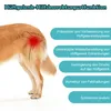Stützbandage für Hunde M,Beinstützung bei Produktbild-Vorschau 5