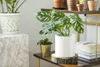 A collection of houseplants in decorative pots arranged on shelves and a marble-effect pedestal. Produktbild-Vorschau