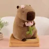 Maskottchen Plüsch Capybara 3In1 Grosses Kuscheltier Kissen Produktbild-Vorschau 2
