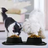 Station d'alimentation pour chats et petits chiens, lot de Voir les images du produit 6