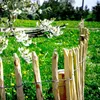 A wooden fence in a garden with blooming trees. Produktbild-Vorschau