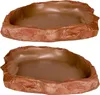 Terrario Natural Bowl – Terrarium-Schale 20x17x3 cm Produktbild-Vorschau 10