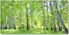 Tulup® Leinwandbild - 140x70 cm - Wandkunst - Drucke auf Produktbild-Vorschau 1