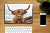 MuchoWow® Laptop Aufkleber Sticker Cover Schottischer Produktbild-Vorschau 2