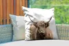 MuchoWow® Outdoor Kissen - Porträt Schottisches Produktbild-Vorschau 3