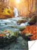 MuchoWow® Poster Natur - Sonne - Herbst 120x160 cm - Produktbild-Vorschau 1