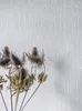 NEWROOM Tapete Ashy 04 Grau Vliestapete - Uni Unifarbe Produktbild-Vorschau 1