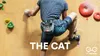 Bolsa para tiza - Gato gris, bolsa para tiza con diseño de Vista previa de la imagen del producto 9
