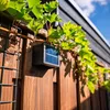 hoftronic Solar-Wandleuchte Louis 4er-Set 1,2W IP65 Schwarz Produktbild-Vorschau 5