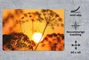 MuchoWow® Schreibtischunterlage Pflanzen - Blumen - Produktbild-Vorschau 2