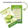 Melonengurke Carosello Barese Samen - Cucumis melo var. Produktbild-Vorschau 3