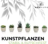 addhome Set di 6 piante artificiali succulente in vasi Anteprima dell’immagine prodotto 4