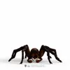 Hračka Schleich Harry Potter - Aragog Anteprima dell’immagine prodotto 7